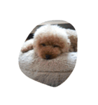 Series 4 Prince-you（個別スタンプ：30）