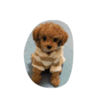 Series 4 Prince-you（個別スタンプ：38）
