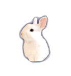 うさぎのほっこり日常生活（個別スタンプ：7）