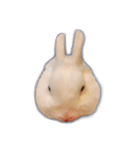 うさぎのほっこり日常生活（個別スタンプ：10）
