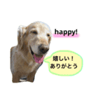 小町の日常スタンプ（個別スタンプ：22）