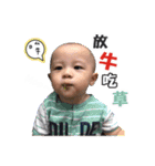 PIGET BABY part II（個別スタンプ：31）