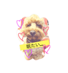 amu1（個別スタンプ：2）