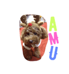 amu1（個別スタンプ：4）