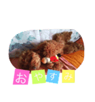 amu1（個別スタンプ：5）