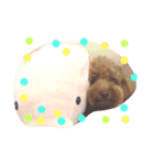 amu1（個別スタンプ：7）