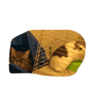 もるる（個別スタンプ：5）