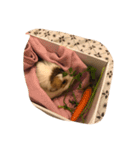 もるる（個別スタンプ：7）