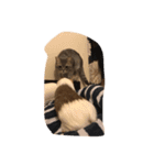 もるる（個別スタンプ：11）