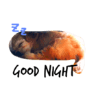 れもんちゃん☆（個別スタンプ：3）