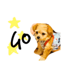 れもんちゃん☆（個別スタンプ：8）