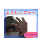 ドゥーエの日常（個別スタンプ：6）