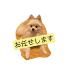 ぽめ気持ちを伝えるみくも 新（個別スタンプ：6）