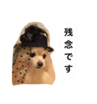 ぽめ気持ちを伝えるみくも 新（個別スタンプ：20）