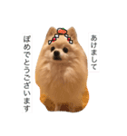 ぽめ気持ちを伝えるみくも 新（個別スタンプ：22）
