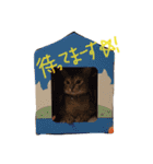 my cat love roki＆arisu（個別スタンプ：6）