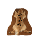ソフィさん（個別スタンプ：2）