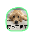 ソフィさん（個別スタンプ：15）