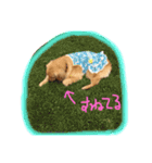 ソフィさん（個別スタンプ：16）
