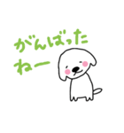 らみちゃん お祝い＆ほめスタンプ（個別スタンプ：11）