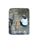 ohanaota 4（個別スタンプ：7）