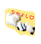 mila dog（個別スタンプ：6）