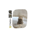 momo everyday（個別スタンプ：12）