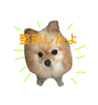 きなぽこぽんぽんぽん 待望の2作目！（個別スタンプ：11）