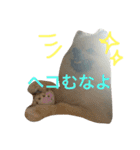 きなぽこぽんぽんぽん 待望の2作目！（個別スタンプ：12）