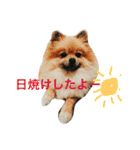 きなぽこぽんぽんぽん 待望の2作目！（個別スタンプ：15）