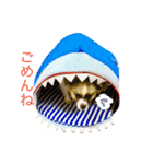 佐藤家のレオくん（個別スタンプ：3）