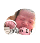 genius babymana（個別スタンプ：8）