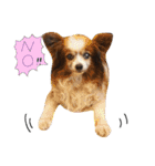 あびりむさら（個別スタンプ：4）