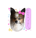 あびりむさら（個別スタンプ：13）