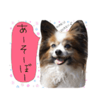 あびりむさら（個別スタンプ：18）