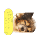 あびりむさら（個別スタンプ：21）