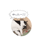 メロンちゃんとお話し。（個別スタンプ：2）