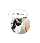 メロンちゃんとお話し。（個別スタンプ：9）