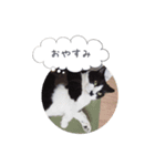 メロンちゃんとお話し。（個別スタンプ：10）