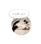 メロンちゃんとお話し。（個別スタンプ：18）