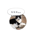 メロンちゃんとお話し。（個別スタンプ：20）