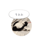 メロンちゃんとお話し。（個別スタンプ：21）