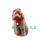 わさびの日常生活スタイル（個別スタンプ：3）