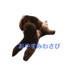 わさびの日常生活スタイル（個別スタンプ：4）