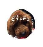 ハッピーエイトさん（個別スタンプ：8）