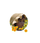 まいにち元気（個別スタンプ：5）