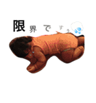 baby kids123（個別スタンプ：4）