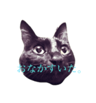 おこげちゃん（個別スタンプ：1）
