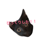 おこげちゃん（個別スタンプ：8）