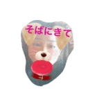 tatuyalove0219（個別スタンプ：3）